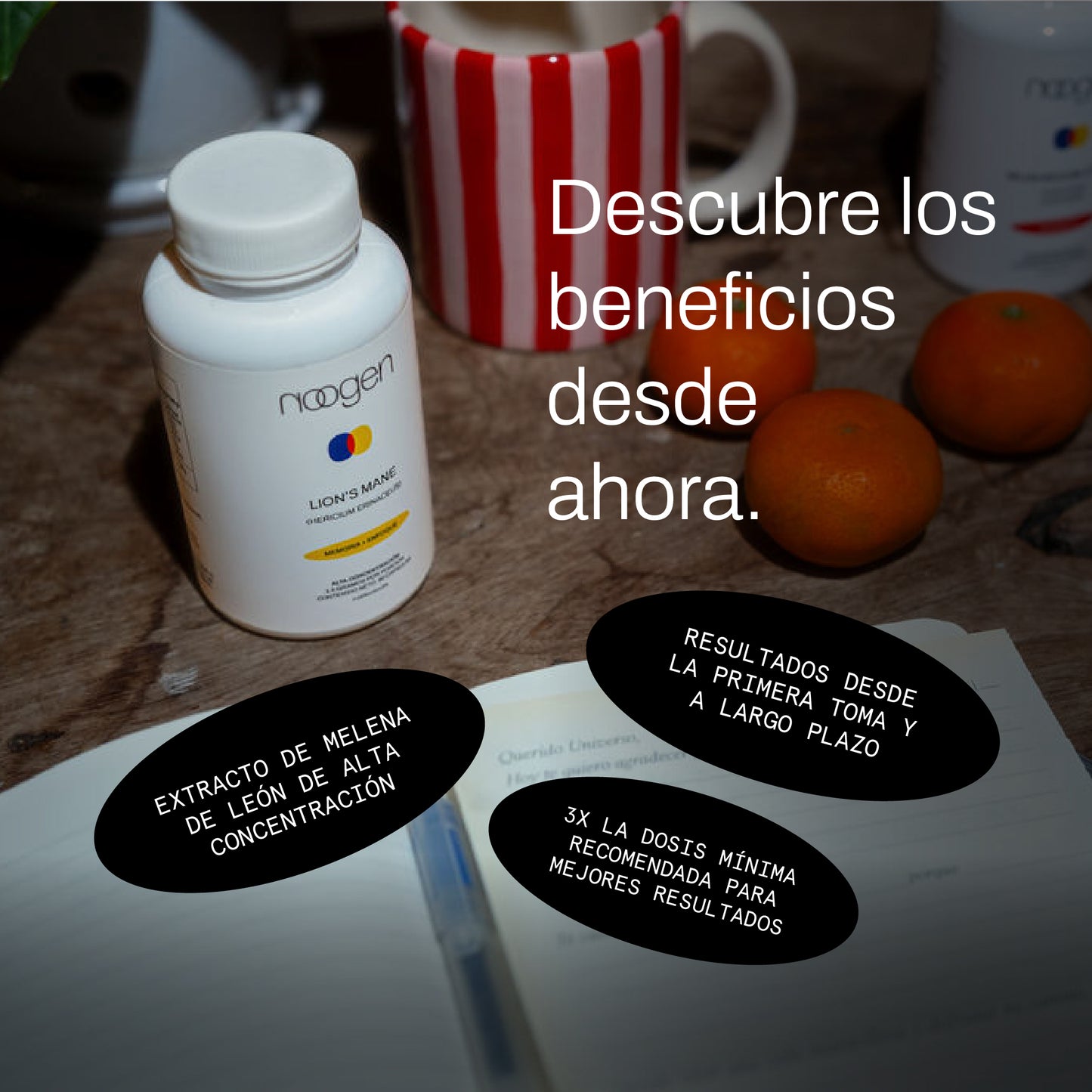 Memoria + Enfoque