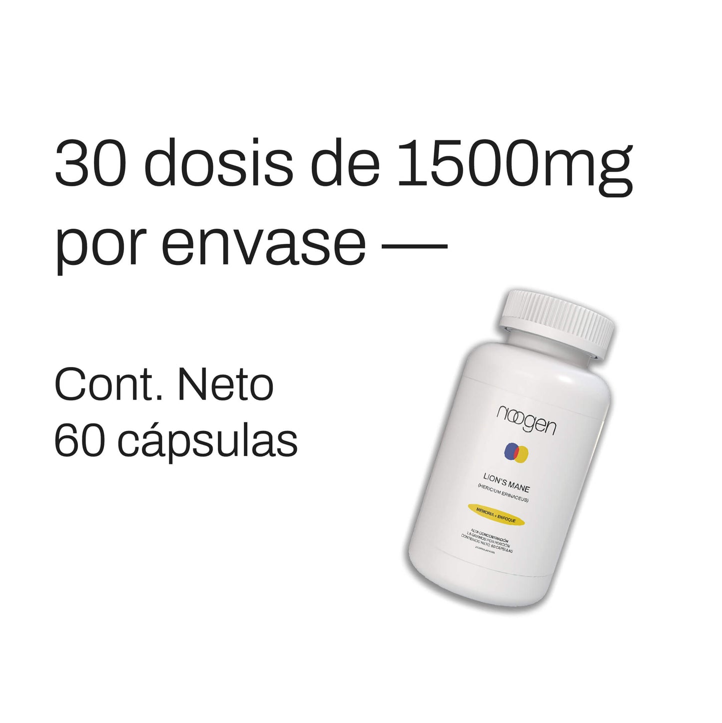 Memoria + Enfoque