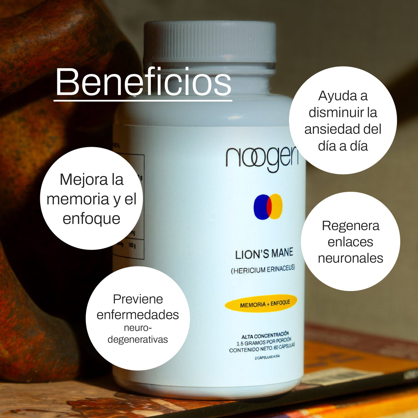 Memoria + Enfoque