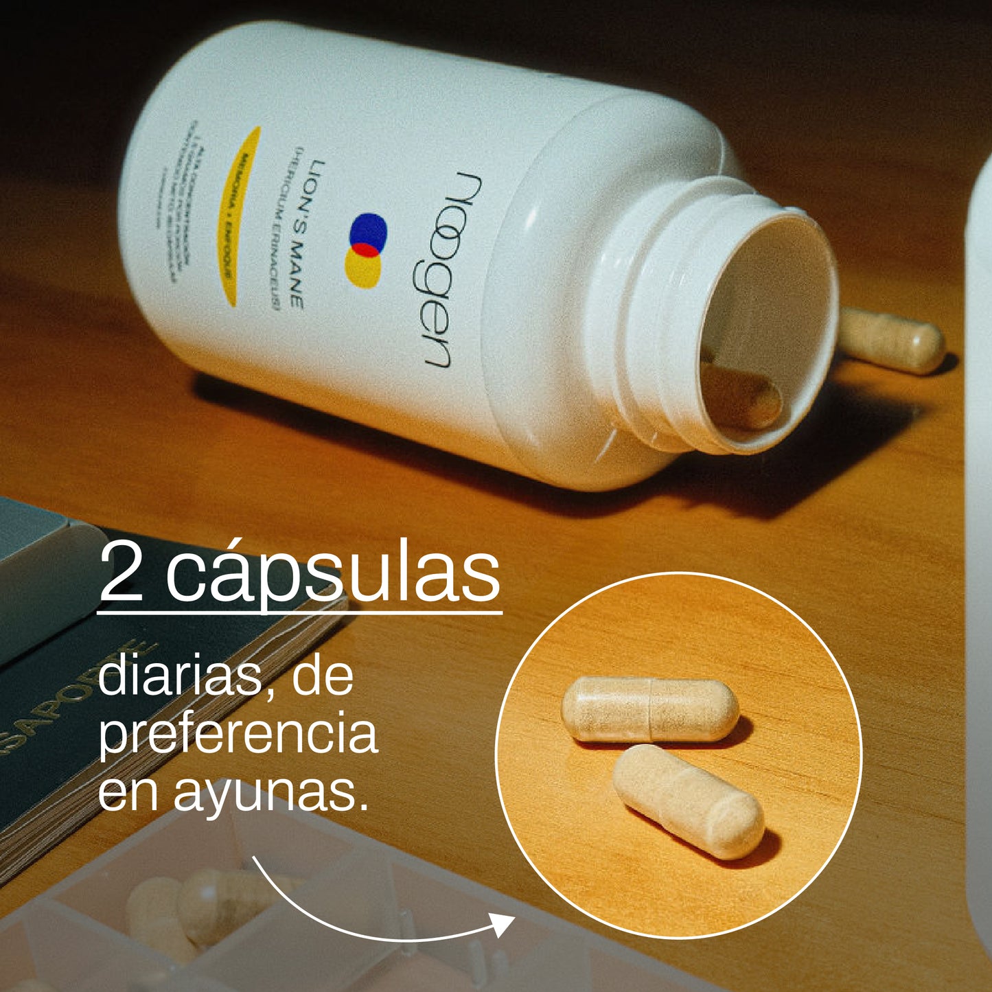 Memoria + Enfoque